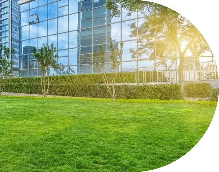 A trimmed commercial lawn beside a glass office building