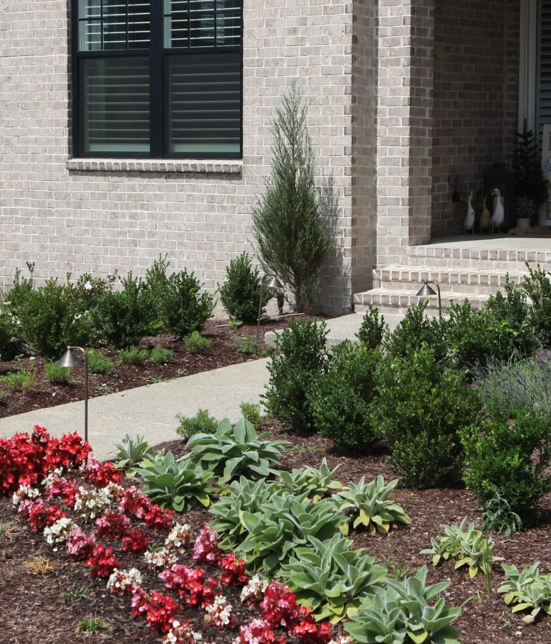 Foundation planting with red begonias in front of a home