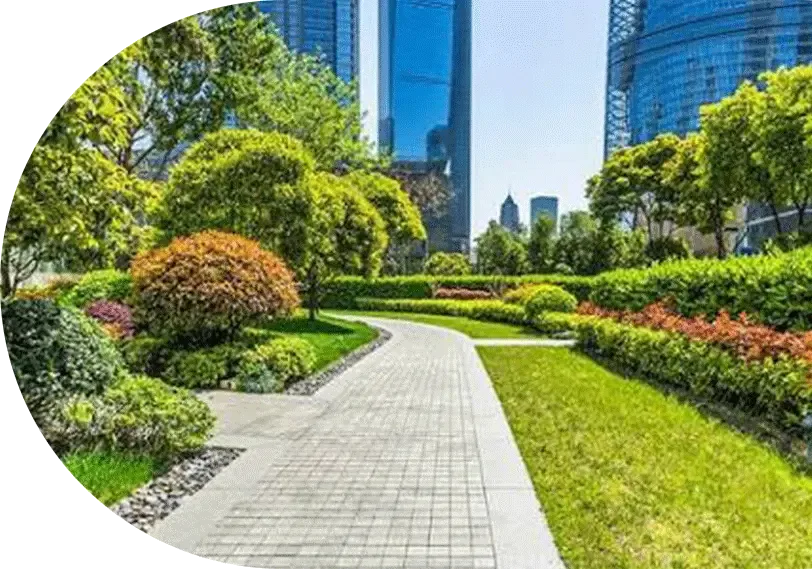 A mowed office-park lawn beside a paved walk