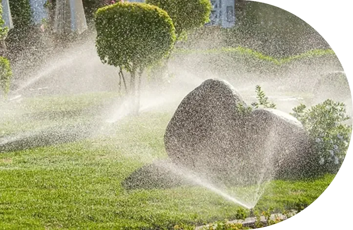 Sprinklers running over a shrub bed